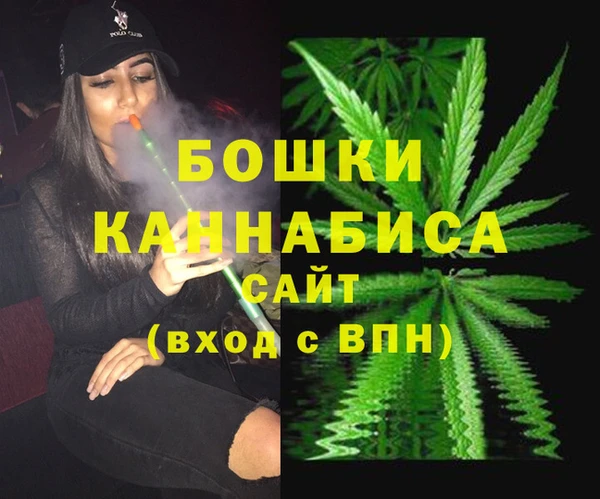 2c-b Белокуриха