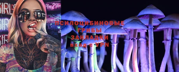 кокаин перу Богданович