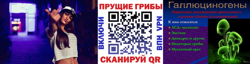 Псилоцибиновые грибы мицелий сколько стоит Буй